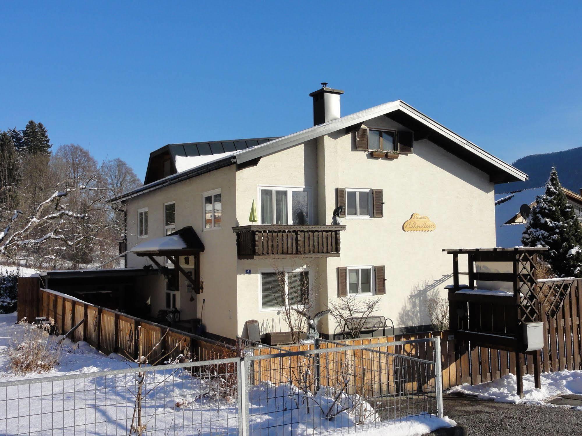 Pension Adlerhorst Штайндорф-ам-Оссіахер-Зе Екстер'єр фото